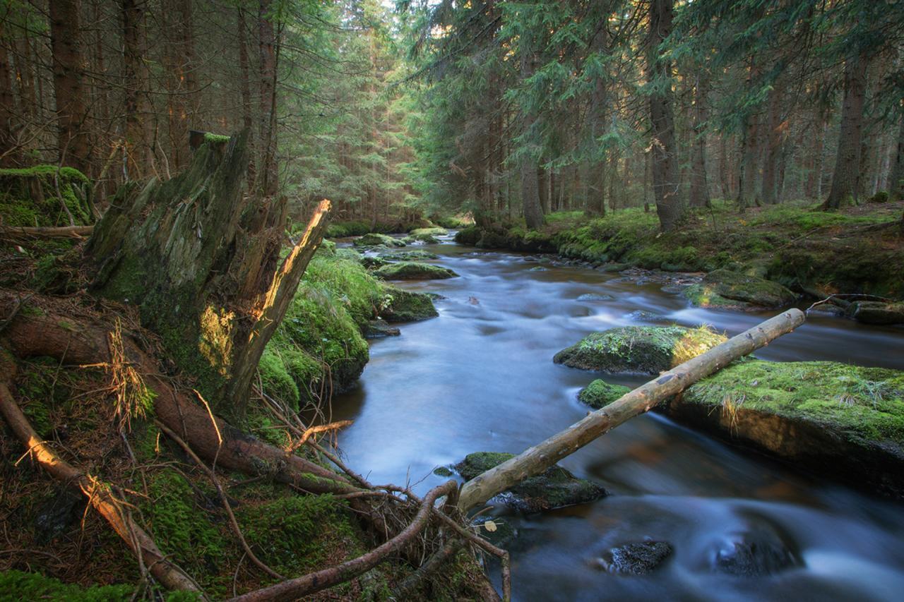 Отель Statek Ceska Lipa Myslovice Клатови Экстерьер фото